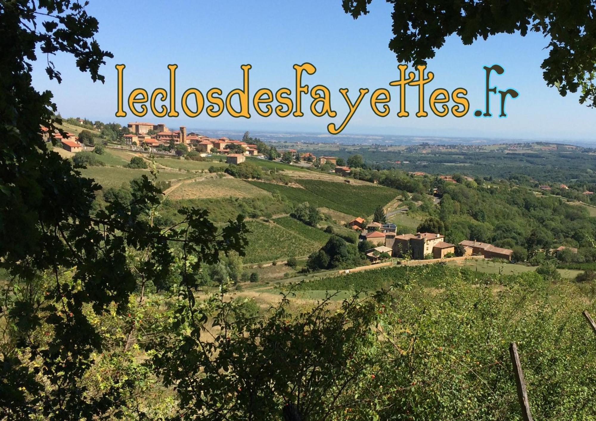 Le Clos Des Fayettes Theize ภายนอก รูปภาพ