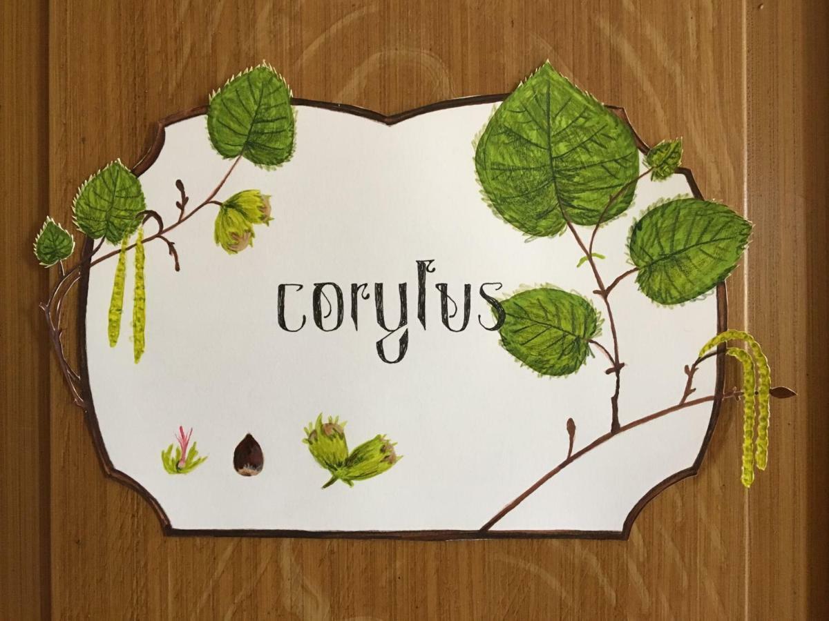 Le Clos Des Fayettes Theize ภายนอก รูปภาพ